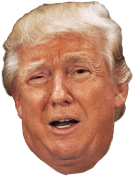Clipart Transparent Download Head Wtf Png - Trump Face Transparent Background (550x413), Png Download