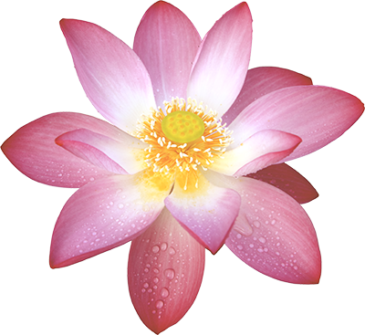 Nam Myoho Renge Kyo - Sacred Lotus (400x367), Png Download