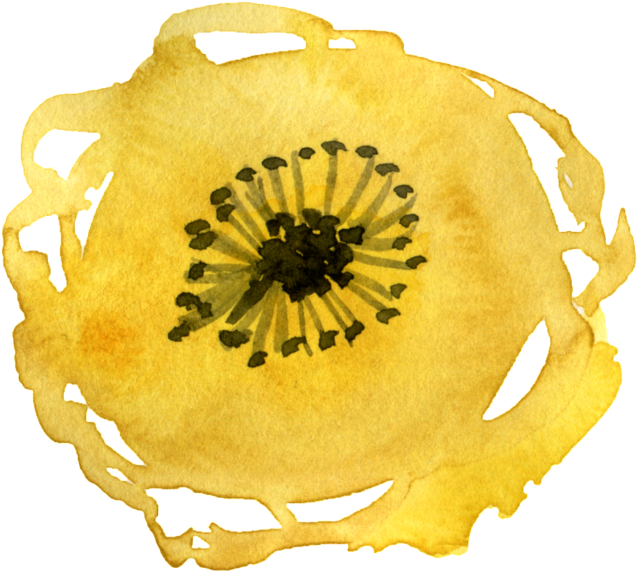This Graphics Is Watercolor Yellow Flower About - Portable Network Graphics (1024x941), Png Download