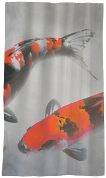 Calico Koi Fish Watercolor Illustration Sheer Window - Pez Koi Rojo Real (400x400), Png Download