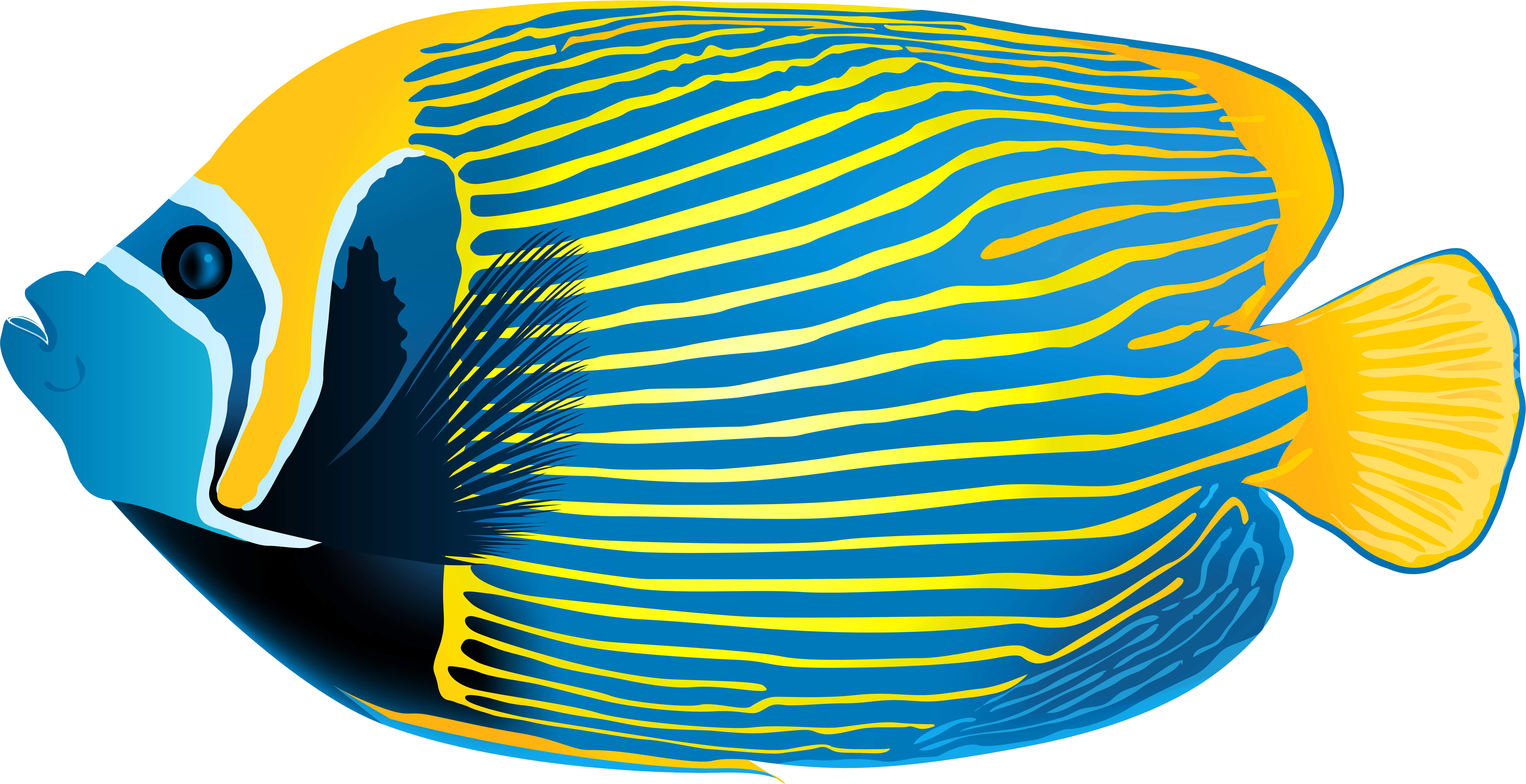 Basket Clipart Easter Egg Hunt - Queen Angelfish Clipart (8000x4242), Png Download