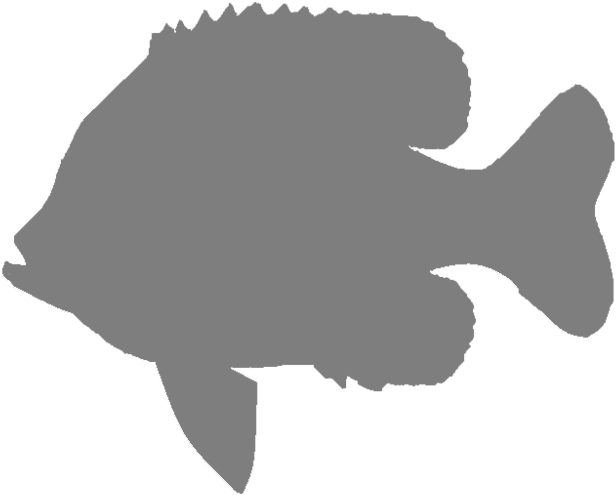 The Mighty Musky - Snapper (650x563), Png Download