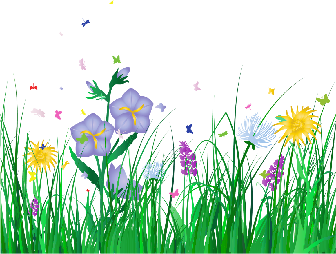 Download HD Collection Of Free Flower Transparent Background - Flowers ...