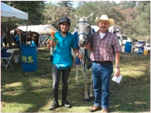 Walking (800x500), Png Download