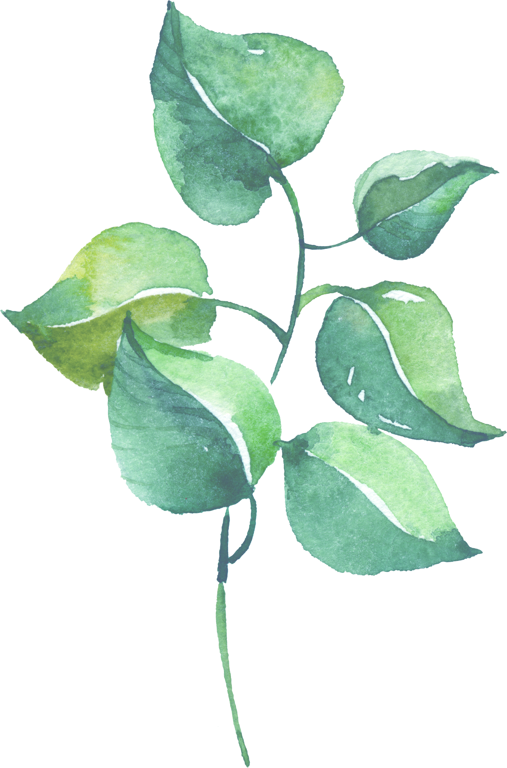 0℃素材15 - Watercolor Painting (1661x2515), Png Download