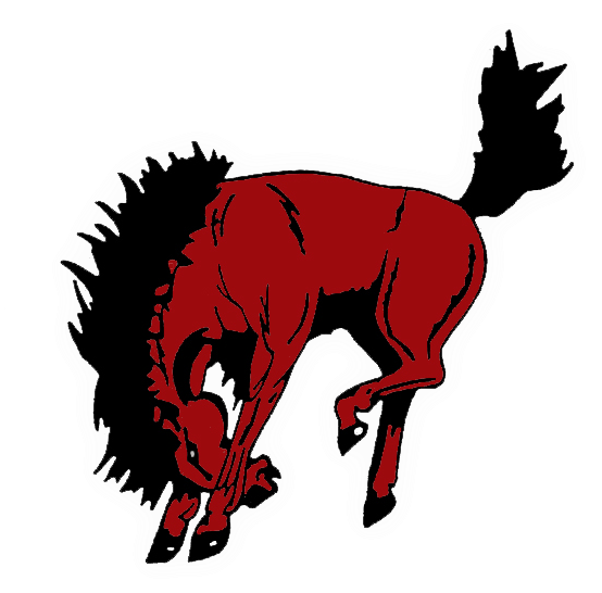 Sonora Bronco Texas (640x585), Png Download