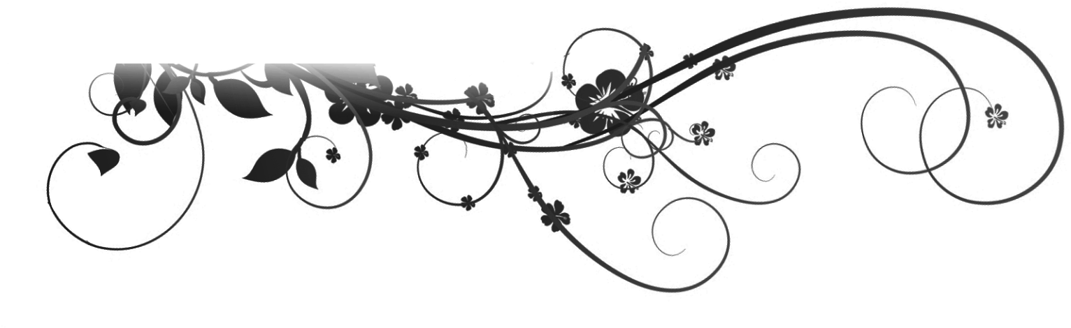 File History - Flower Deco (1600x620), Png Download