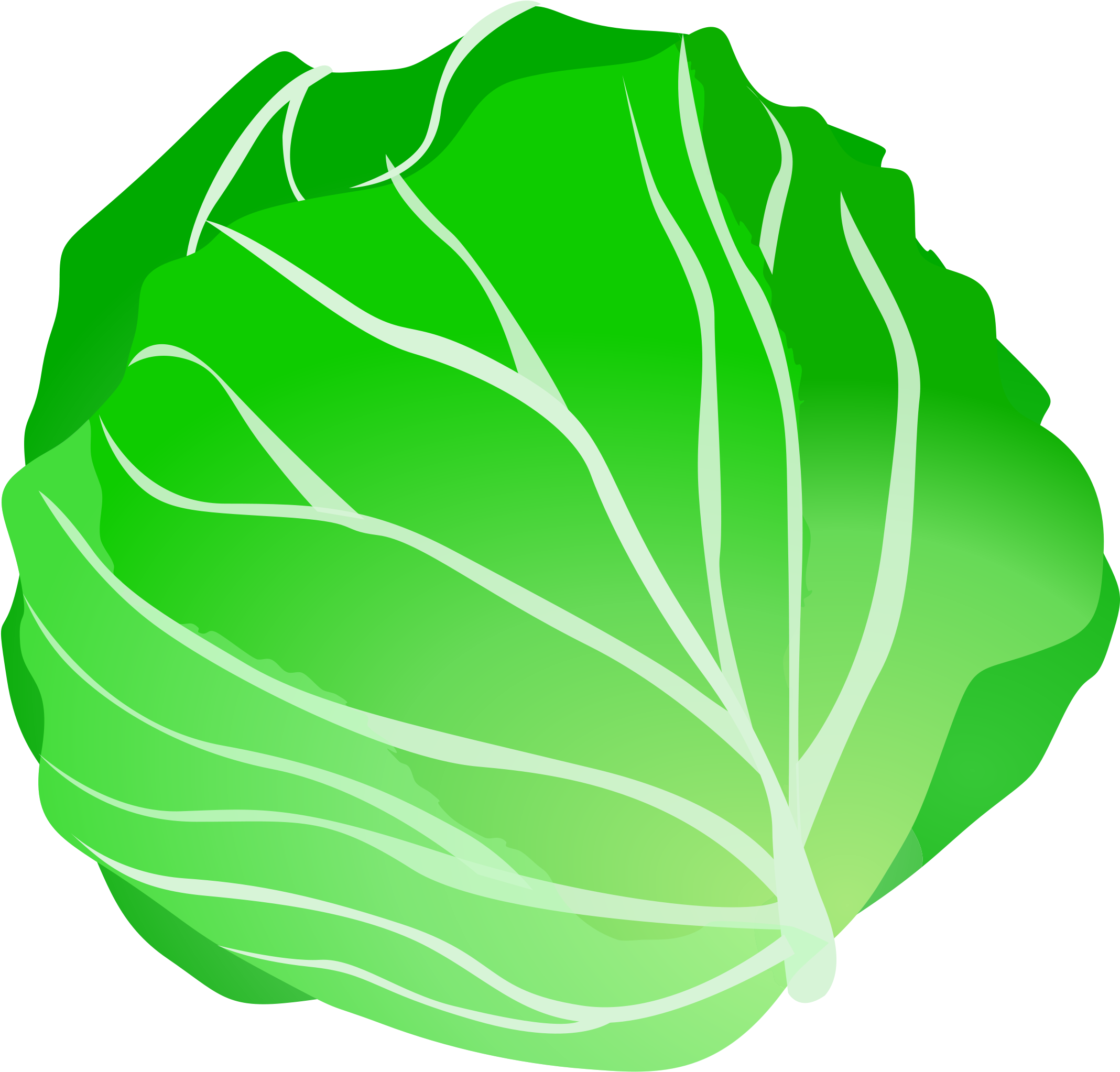 Lettuce Clipart - Cabbage Clipart (2400x2400), Png Download