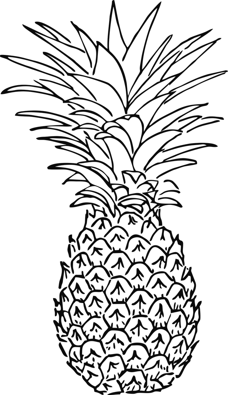 Im Genes De Pi As Para Colorear Decorar Y Cuadros Chulos - Pineapple Drawing (739x1280), Png Download
