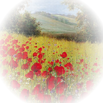Coquelicot Paysage Poppy Flower Landscape - Common Poppy (400x399), Png Download