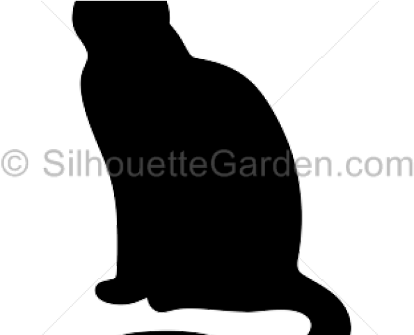 Sitting Cat Silhouette - Claro Americas (640x480), Png Download