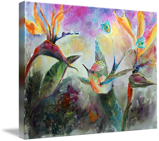 "peacock Tail Hummingbird Watercolor" By Ginette Callaway - Arte Visuales De Animales (650x579), Png Download