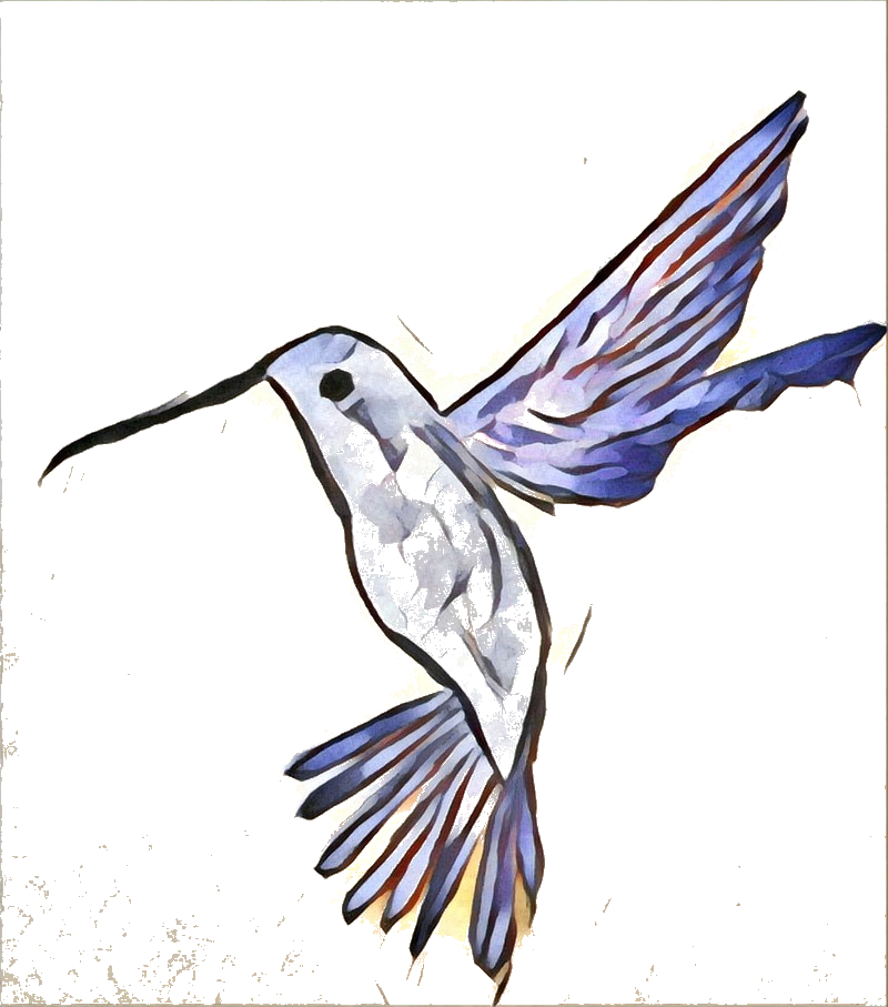 Hummingbird Medicine - Hummingbird (800x907), Png Download