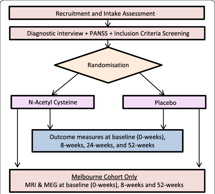 Study Outline - Diagram (702x634), Png Download