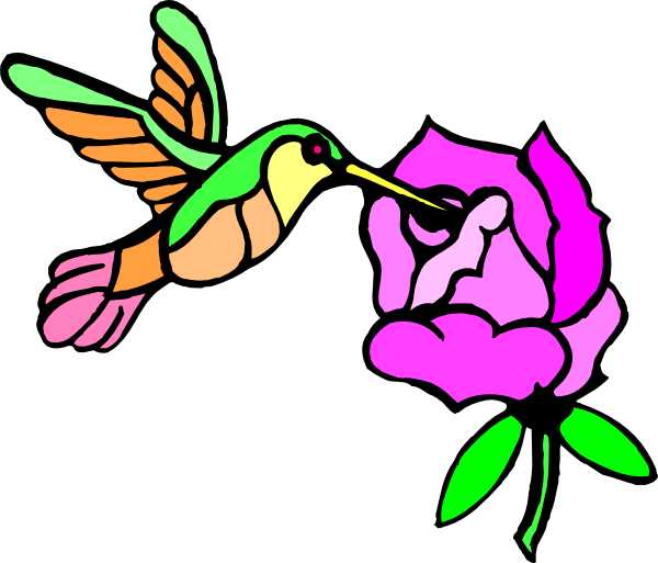 Hummingbird Clipart Hummingbird Flower - Hummingbird And Flower Shower Curtain (600x513), Png Download