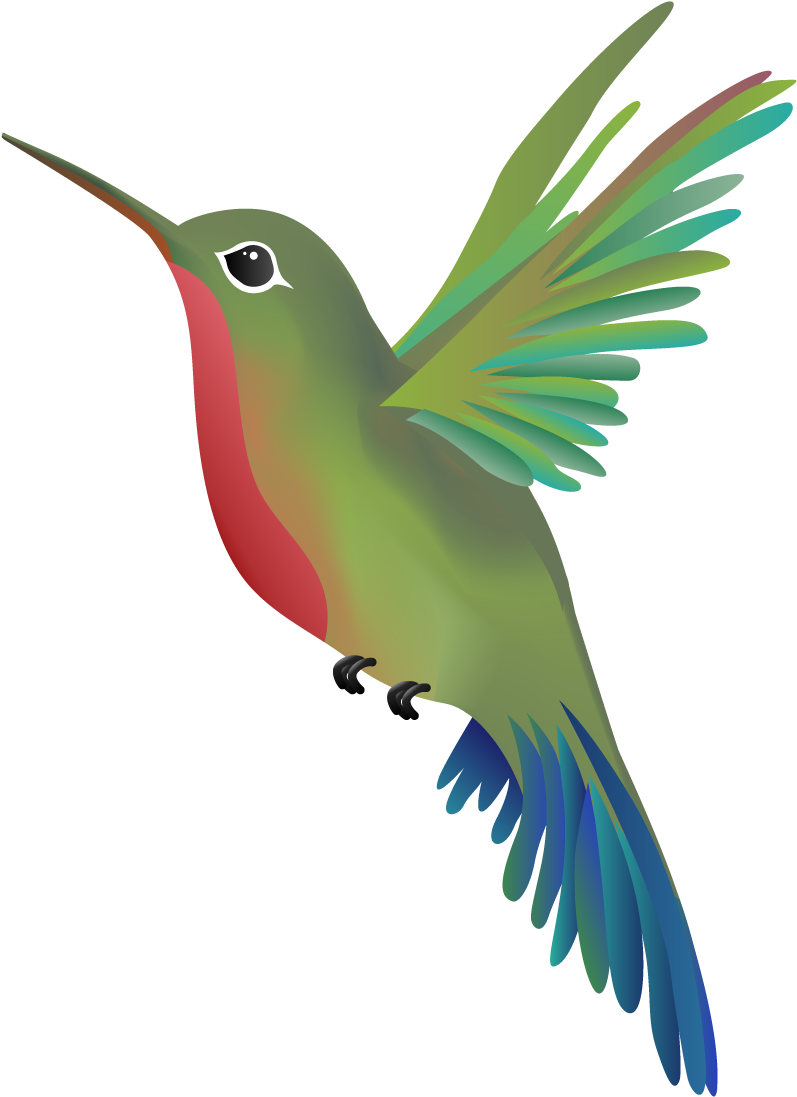 World Champion Massage Issaquah Wandering Hummingbird - Google Hummingbird (2000x1200), Png Download