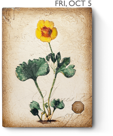 Le18-05 - Design (450x450), Png Download