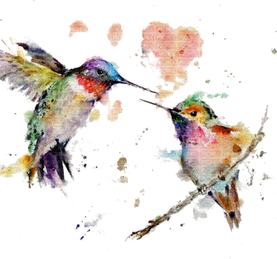 Acuarela - Hummingbird Watercolor (400x374), Png Download