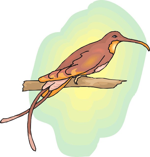Brown, Sun, Sky, Bird, Branch, Wings, Hummingbird - Colourful Birds On Branches Images Png (611x640), Png Download