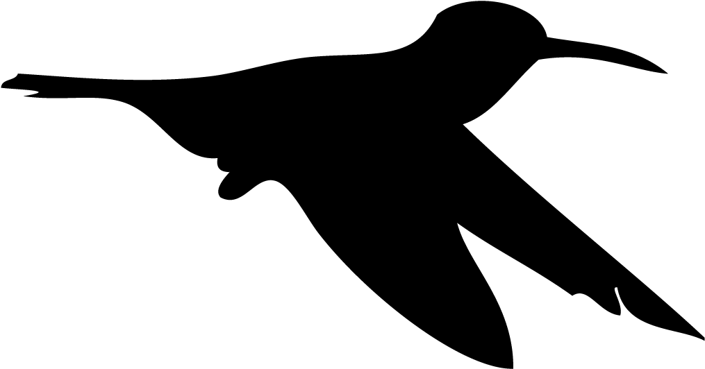 Silhouette Hummingbird - All About Birds (1024x1024), Png Download