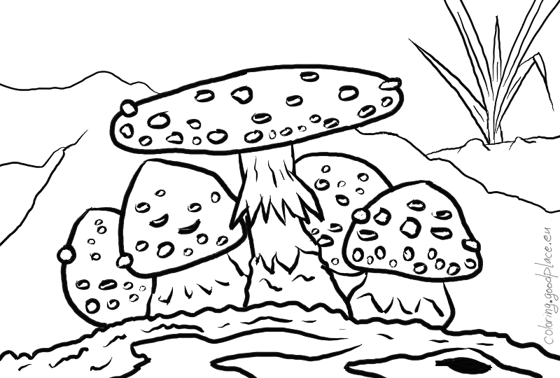 Toadstool - Illustration (800x540), Png Download