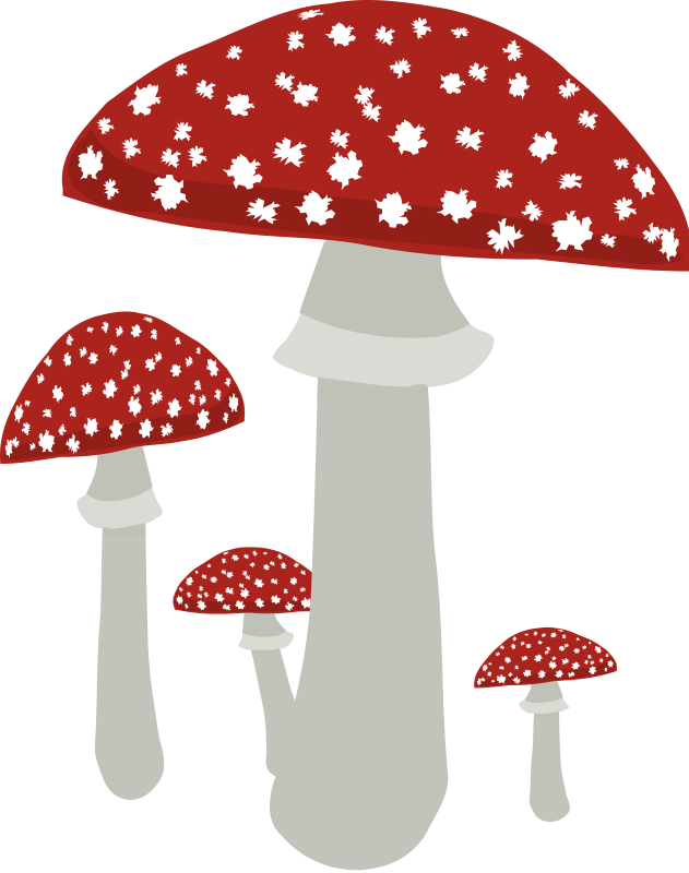 Mushroom Clipart Fungus - Clipart Mushrooms No Background (631x800), Png Download