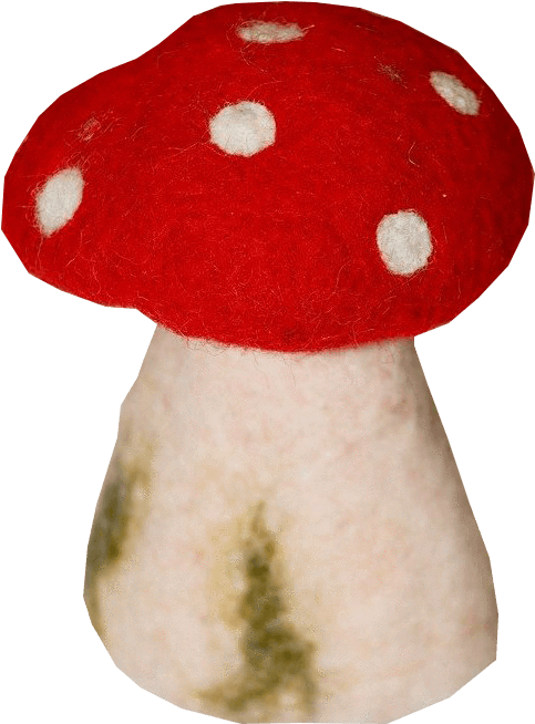 Toadstool Pictures - Medicinal Mushroom (707x707), Png Download