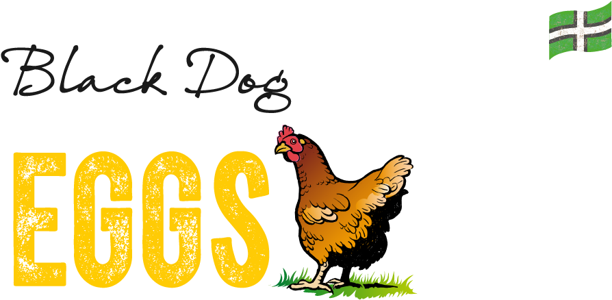 01884 - Ellingtonality 1 Compact Discs (900x555), Png Download