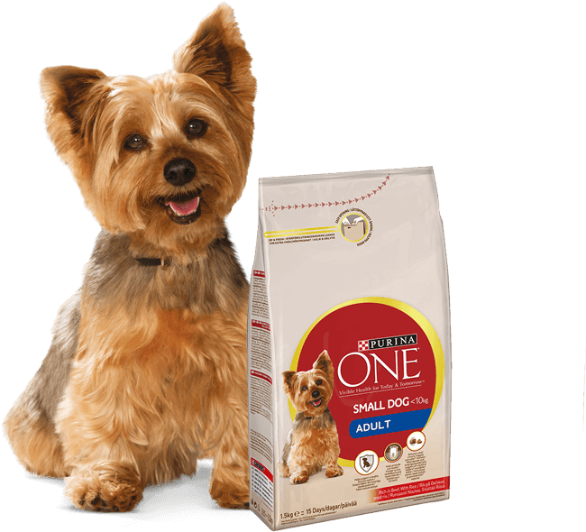 Yorkshire Terrier And Purina One Small Dog Products - Purina One Small Dog Food (826x658), Png Download