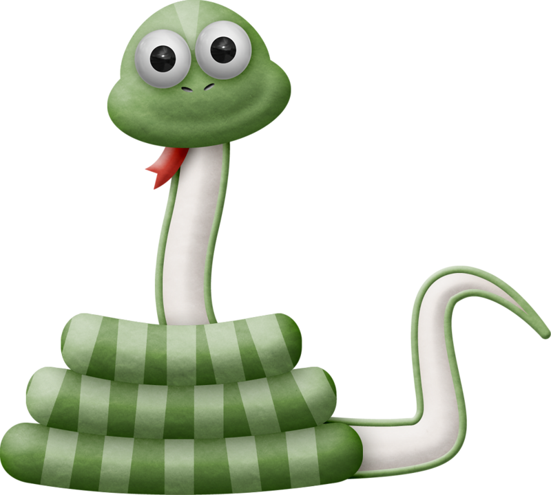 ○•°‿✿⁀zoo Safari‿✿⁀°•○ - Clip Art (800x720), Png Download