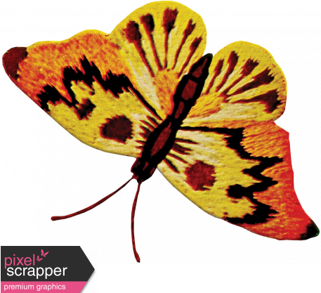 Yellow And Orange Butterfly - Embroidery (456x456), Png Download