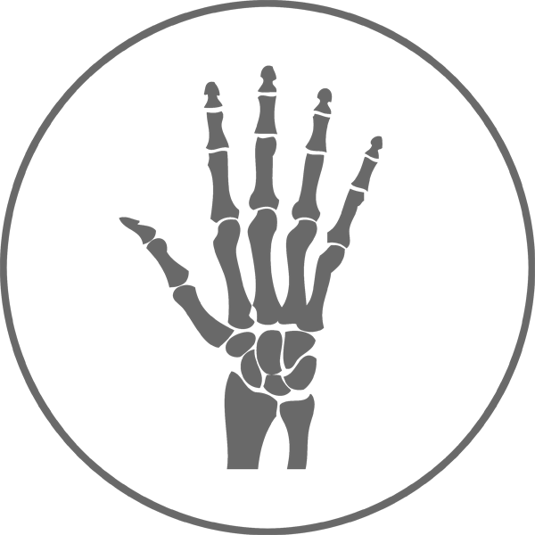 Anatomy-icon - Anatomy Icon Png (600x600), Png Download