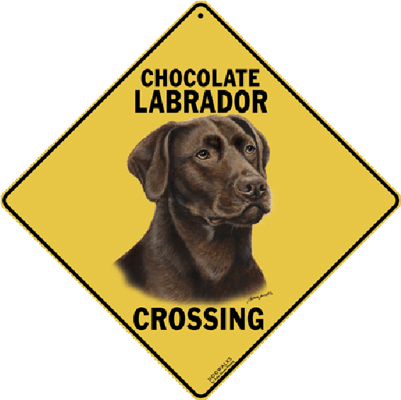 Animal Crossing Signs (600x600), Png Download