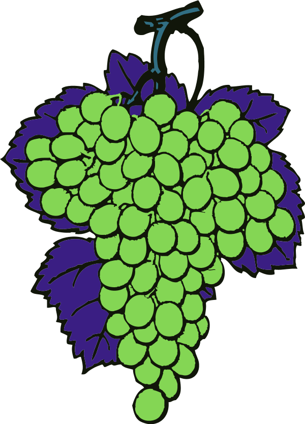 Grapes Vine Fruit - Purple Grapes Shower Curtain (600x834), Png Download