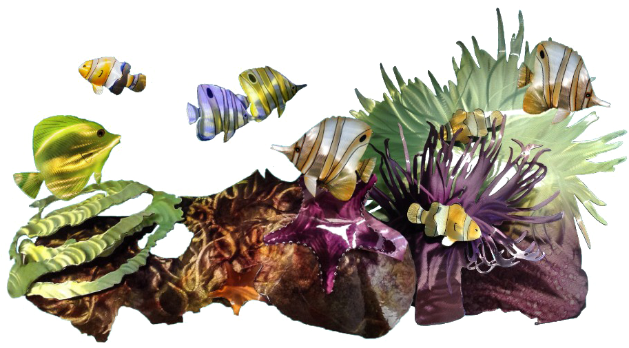 Free Download Coreales Png Clipart Coral - Ocean Coral Png (921x507), Png Download