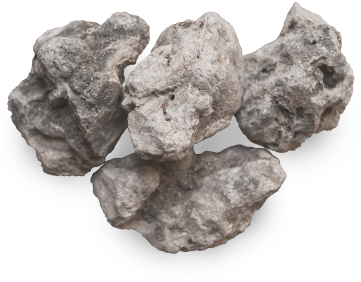 Protium Grandifolium (360x360), Png Download