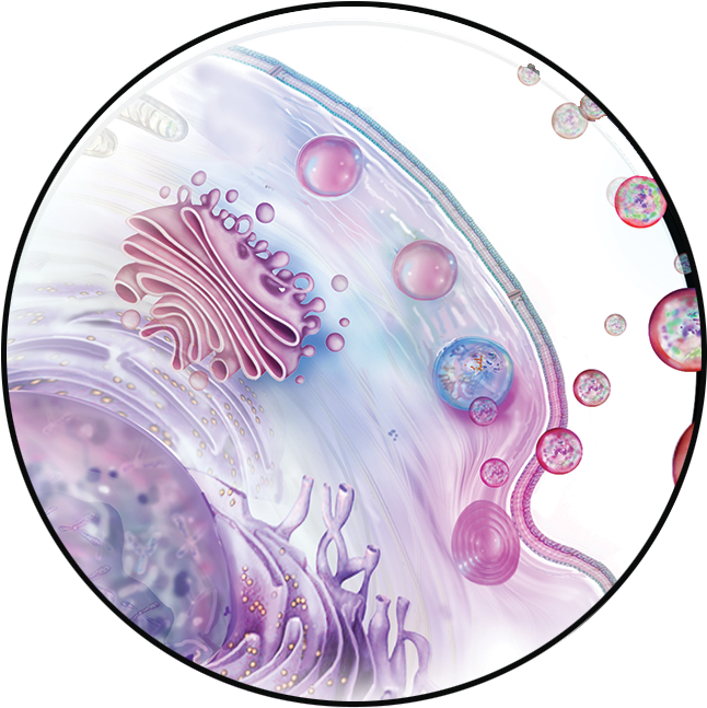 Placental Exosomes (666x666), Png Download