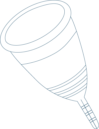 Icon Cup - Sea Dandelion Clipart Transparent (398x521), Png Download