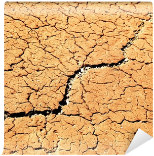 Soil (400x400), Png Download