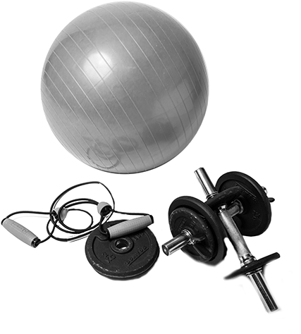 Pelotas Y Pesas - Swiss Ball (481x500), Png Download