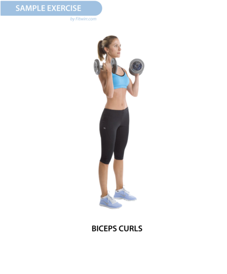 Dumbbell Exercise Workout Poster - Skinny Arm Workout With Weights (461x599), Png Download