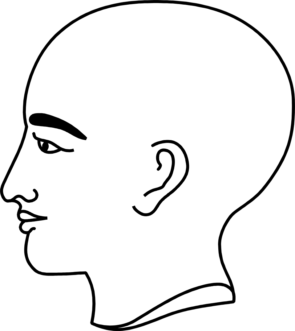 Bald Clipart Bold Man - Head Profile Bald Png (958x1073), Png Download
