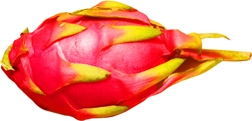 Free Png Dragon Fruit Png Images Transparent - Dragon Fruit Image Transparent (850x433), Png Download