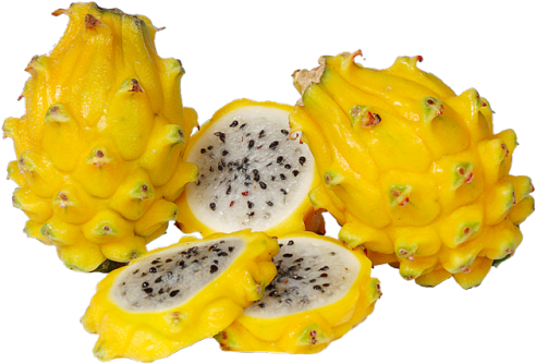 Png Transparent Dragon Fruit Pitaya - Pitahaya Yellow (500x335), Png Download