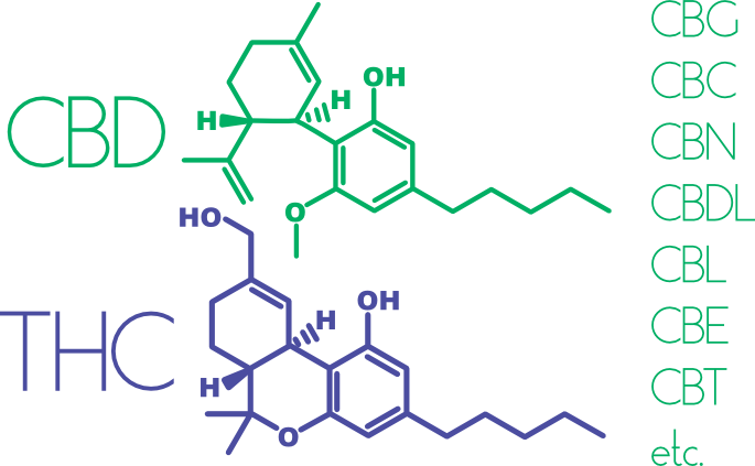 Cannabis Consciente - Thc (685x423), Png Download