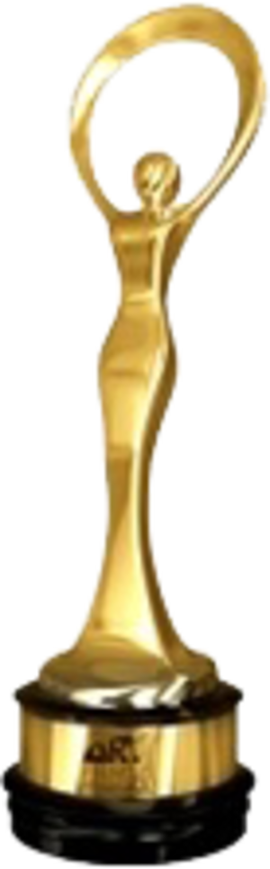 Ary Film Awards (300x965), Png Download