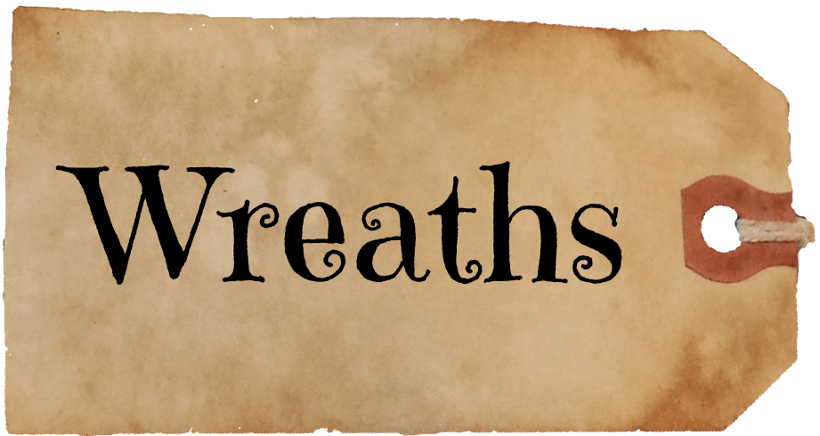 Satellite City Fennah Fanfiction (921x490), Png Download