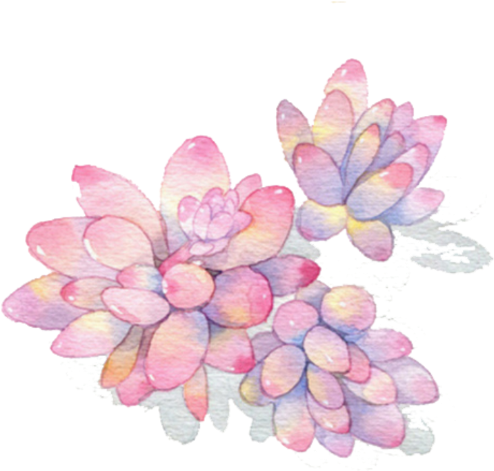 Ftestickers Watercolor Plants Succulents - Missyou Floral Diary Stickers One Size (1024x1024), Png Download