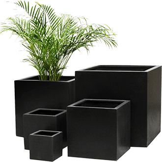 Decorative Containers - Interior Plantscapes (347x347), Png Download