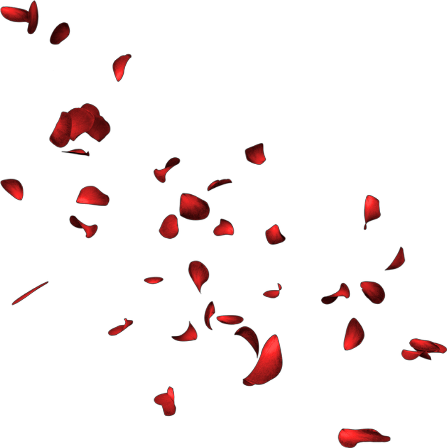 Petals Petalos Pétalos Pétalo Petalo Petal Rose Rosa - Petalos De Rosa Png (1024x1024), Png Download